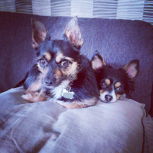 94689470_1534274363408457_4432564454592348160_o