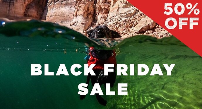 blackfriday1