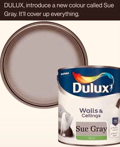 sue-gray